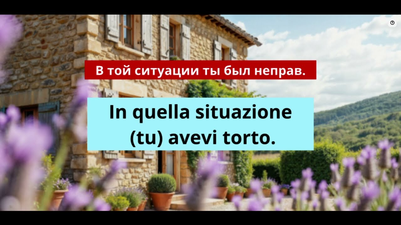 Lingua Italiana. Речевой тренажёр. Выражения с AVERE в разных временах.