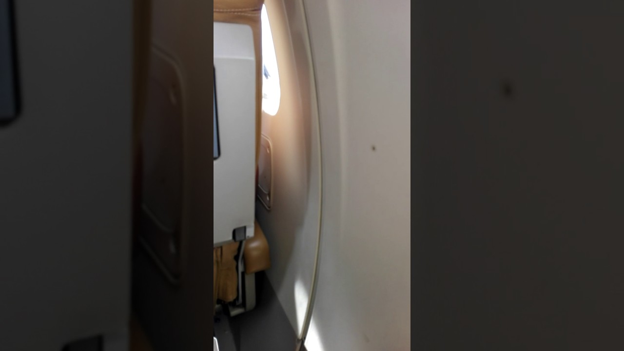 Vado a Roma con l aereo! #1