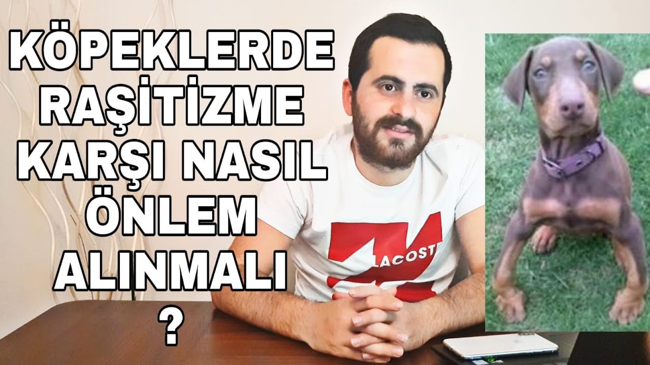 RAŞİTİZM HASTALIĞI VE TEDAVİSİ ! KÖPEKLERDE KEMİK EĞRİLİĞİ !