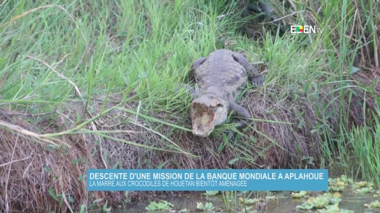 Descente d’une mission de la banque mondiale à Aplahoué