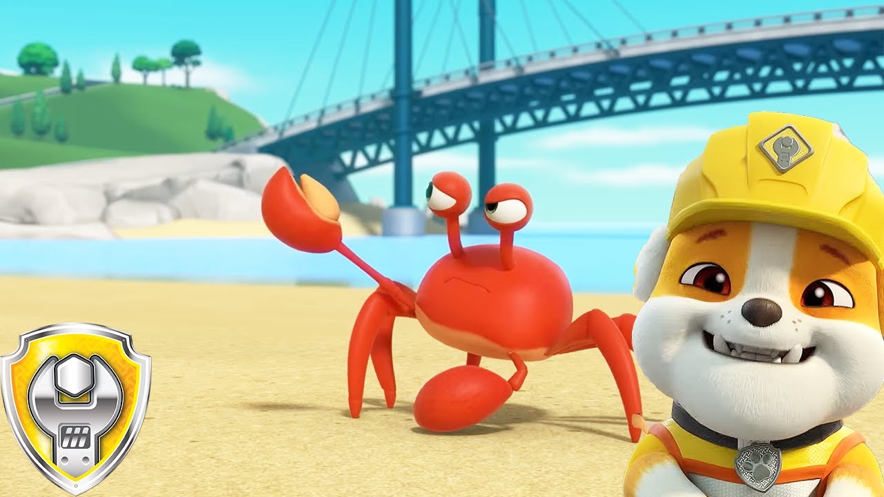 Journée A La Plage De Ruben (Compilation) | Ruben & Cie | Dessins Animés Pour Enfants