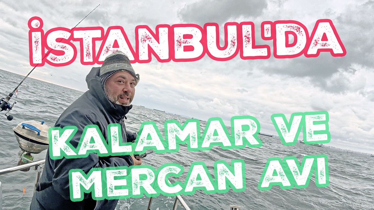 İstanbul'da Kalamar ve Mercan Avı