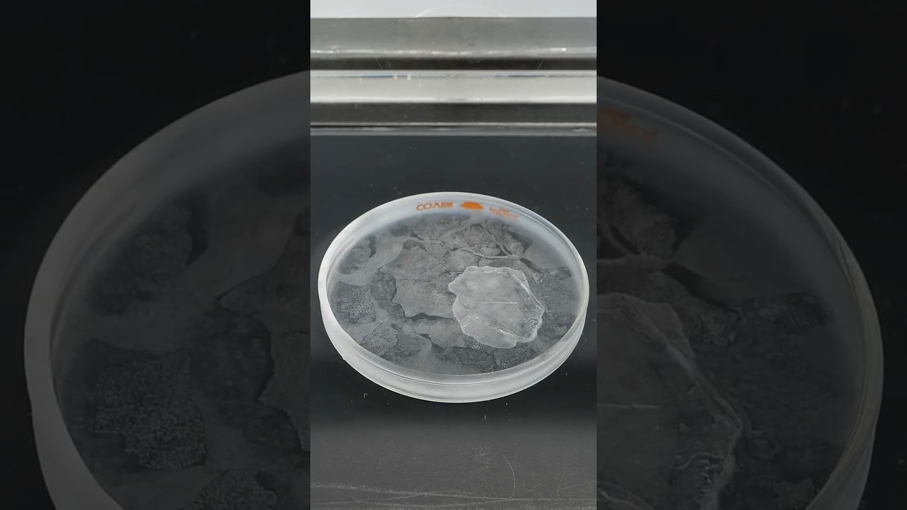Freezing liquid nitrogen solid