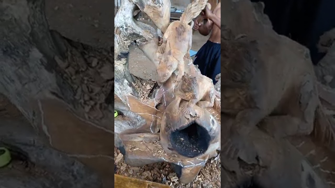 AKAR JATI #MEJA #TUPAI MAKAN KELAPA# @SEMAR GUNONG