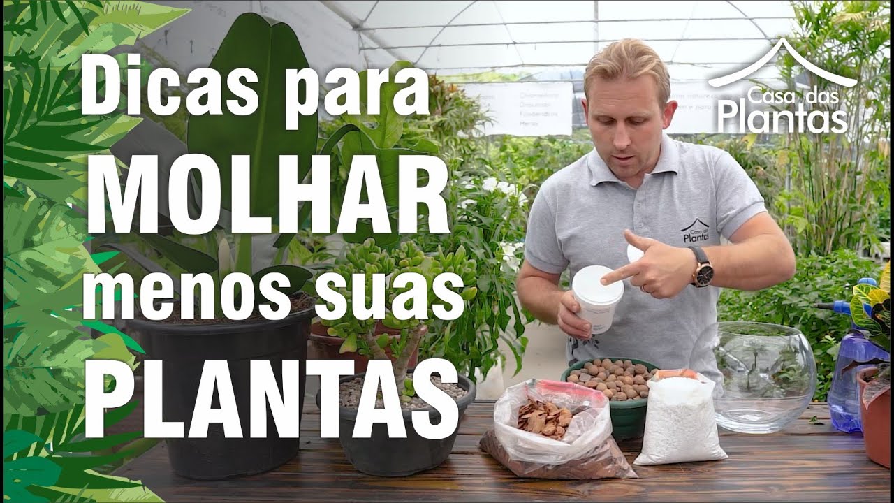 Como reduzir a rega das plantas - como molhar menos