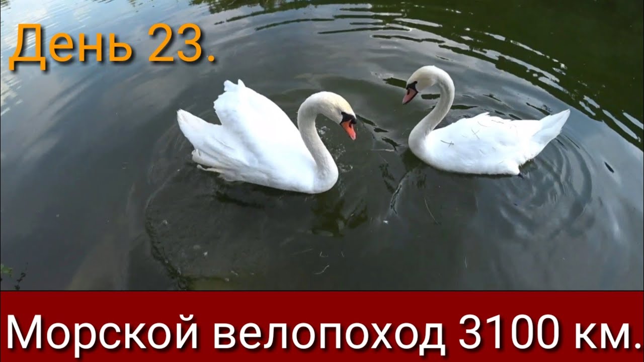 День 23. Умань. Могила ребе Нахмана. Дендропарк 