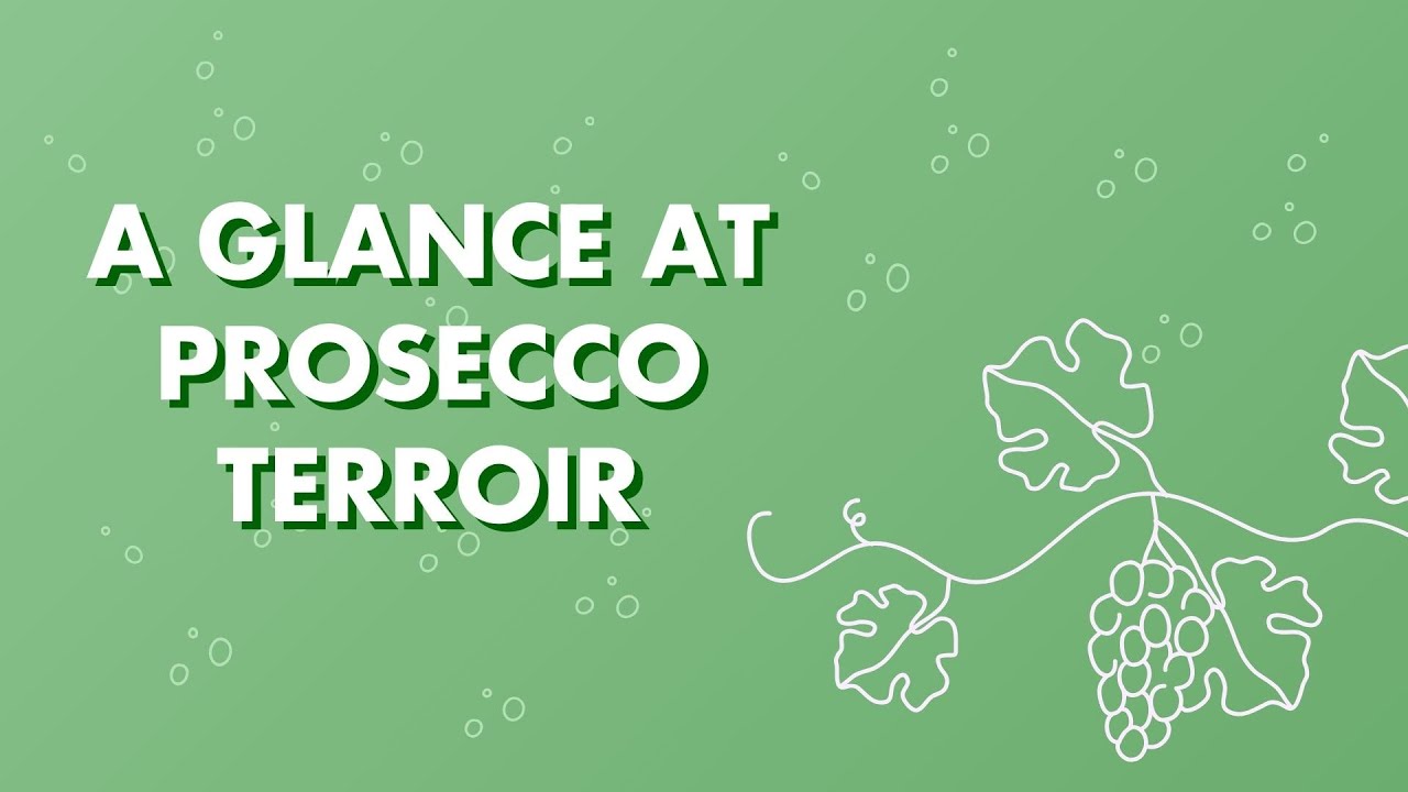 A glance at Prosecco Terroir