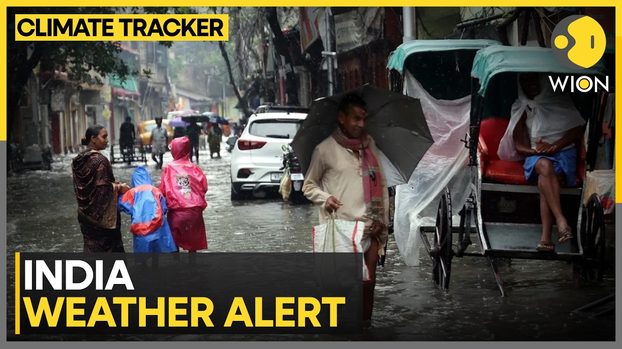 India Monsoon: Delhi-NCR Set To Get Monsoon Relief As Rains Return | WION Climate Tracker