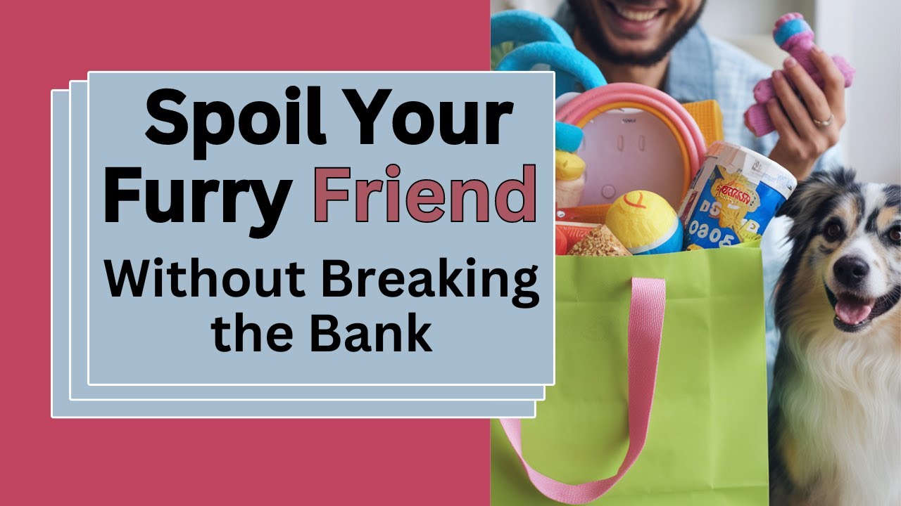 Pet Supplies on a Budget: Must-Have Items!