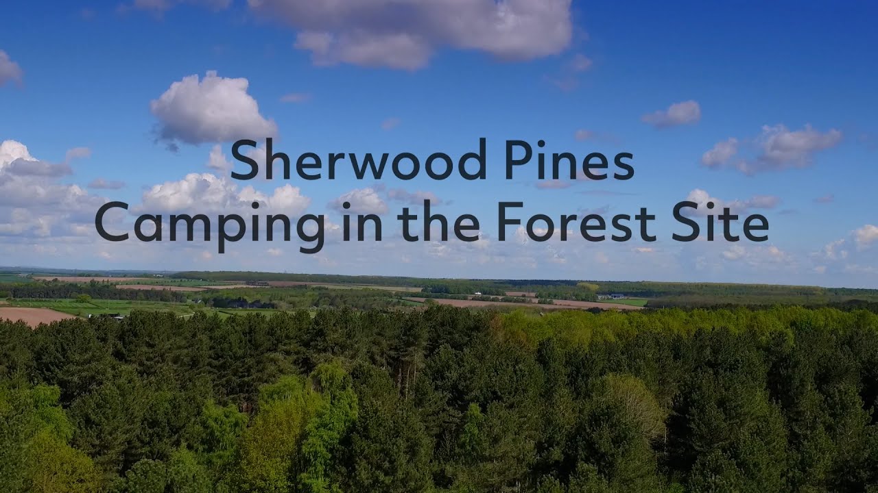 Sherwood Pines Camping in the Forest Site