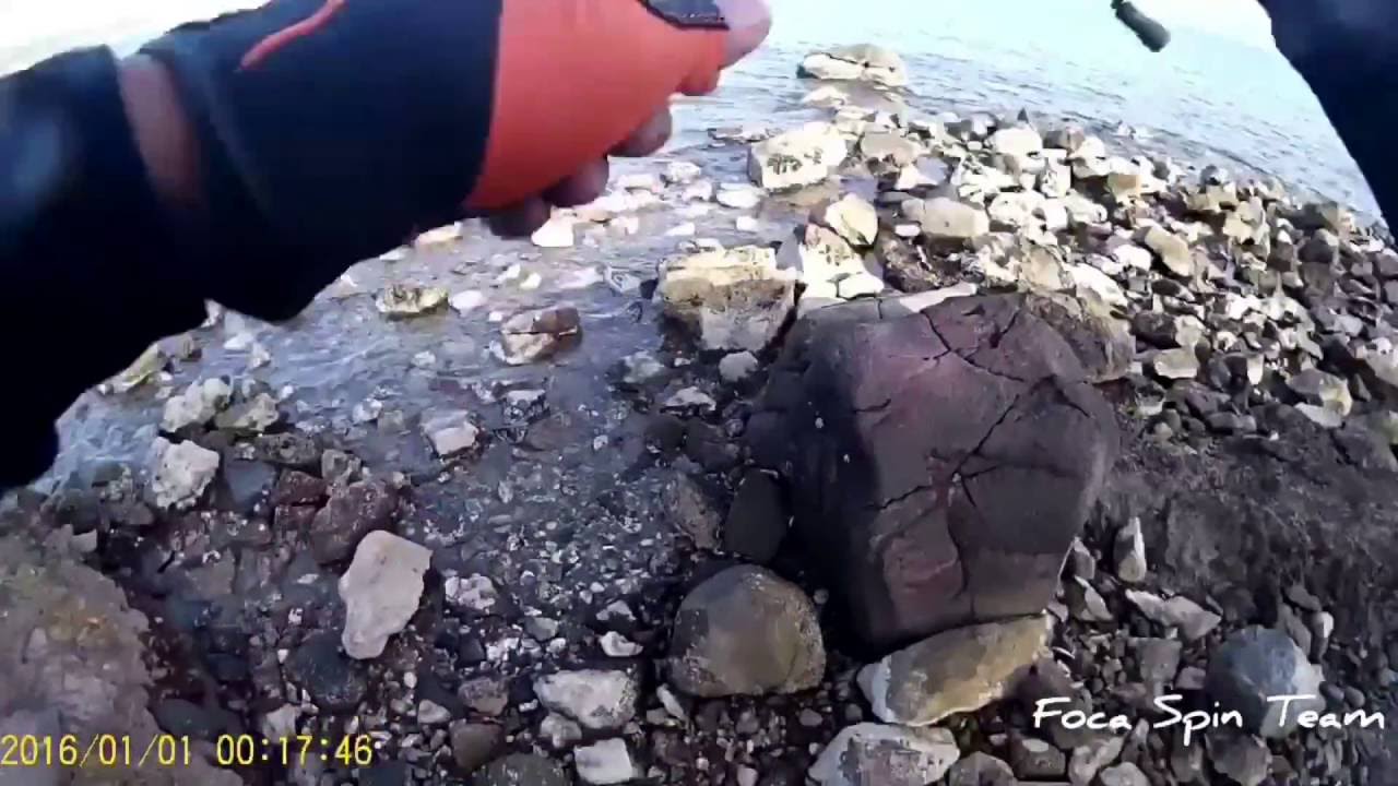 Foca Spin Team - ilker Boskut / Spin ile balık avı levrek avı Yakala Bırak
