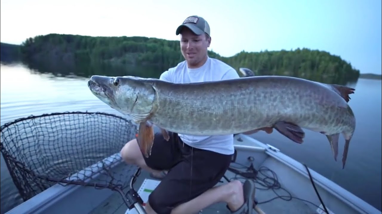 BIGGEST MUSKIES CAUGHT ON TOPWATER! (compilation)