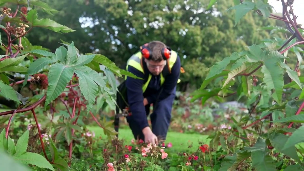 The Role of a Gardener