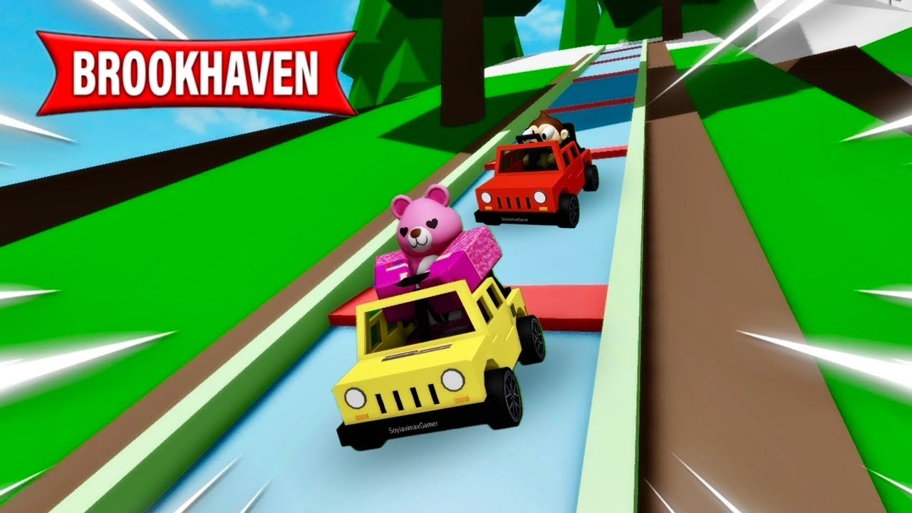 MINI COCHES vs TOBOGÁN DE AGUA EN BROOKHAVEN!