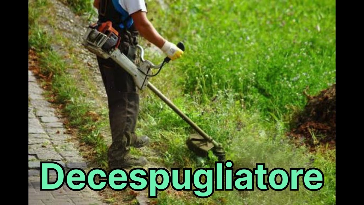 DECESPUGLIATORE