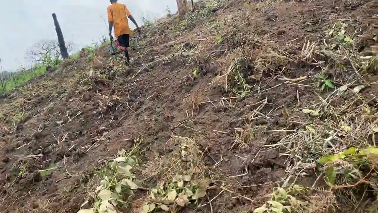 I LOVE FARMING.