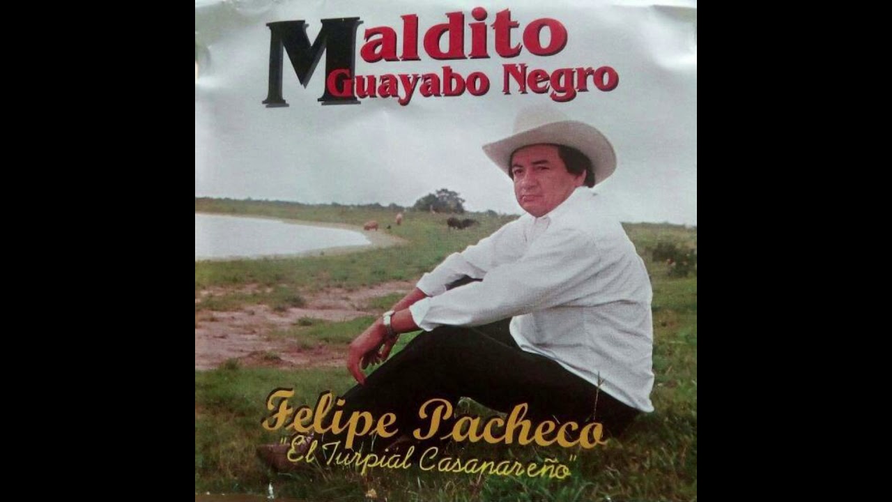 Maldito Guayabo Negro - Felipe Pacheco