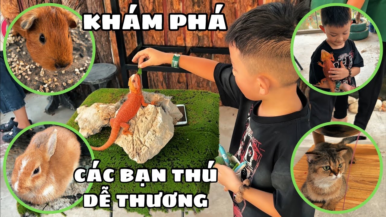 Cuối Tuần Cả Nhà Đi Khám Phá Quán Cà Phê Thú Cưng Siêu Dễ Thương 🐶🐱 | NHÍ NHỐ FAMILY