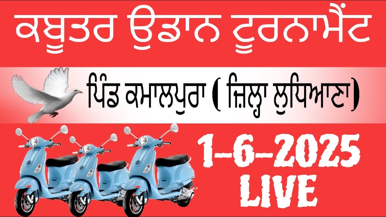 ਕਬੂਤਰ ਉਡਾਨ ਟੂਰਨਾਮੈਂਟ ਪਿੰਡ ਕਮਾਲਪੁਰਾ ( ਜ਼ਿਲ੍ਹਾ ਲੁਧਿਆਣਾ) LIVE#pb49pigeonclub