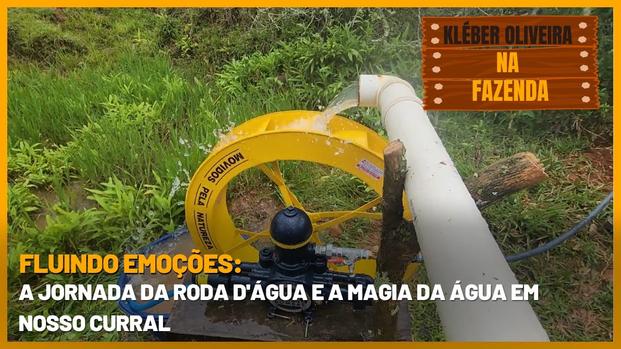 Fluindo Emoções: A Jornada da Roda D'água e a Magia da Água em Nosso Curral