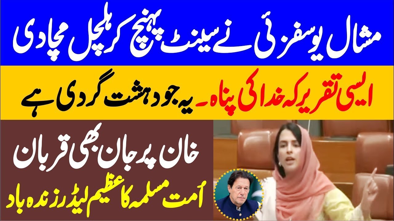 PTI Mashal Yousafzai First Emotional Speech Senate Of Pakistan
