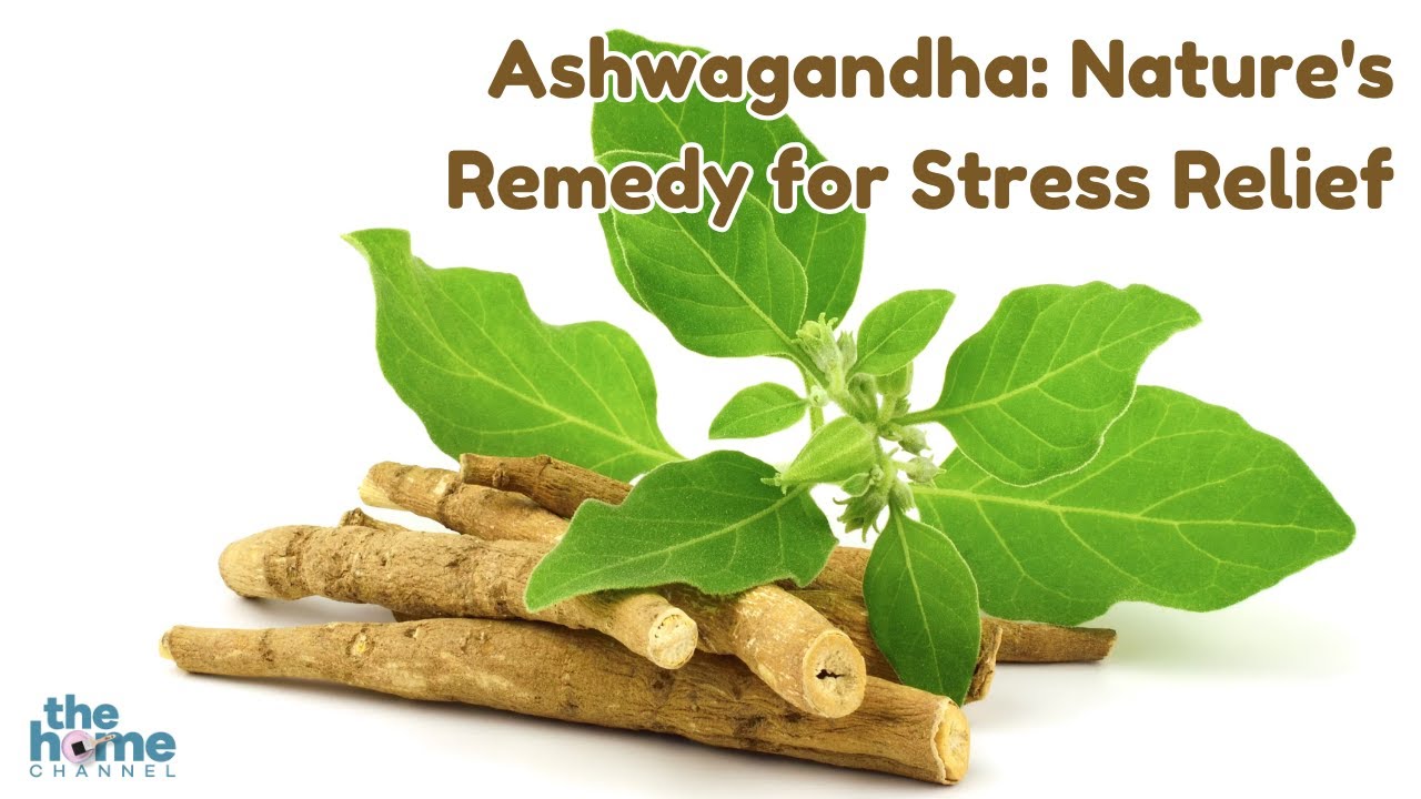 Ashwagandha: Nature's Remedy for Stress Relief