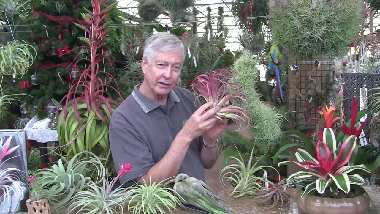 Tilly Talk with Paul Isley
