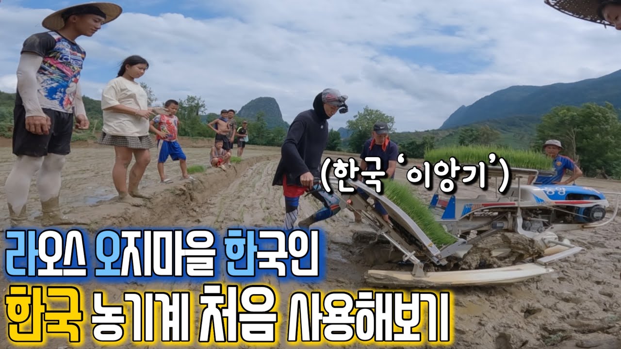 라오스 시골 마을에 한국 비료와 농기계 도전해봤어요ㅣ3주차 🌾벼 현재 모습ㅣ농기계 구매에 도움 주신 선생님 감사합니다.