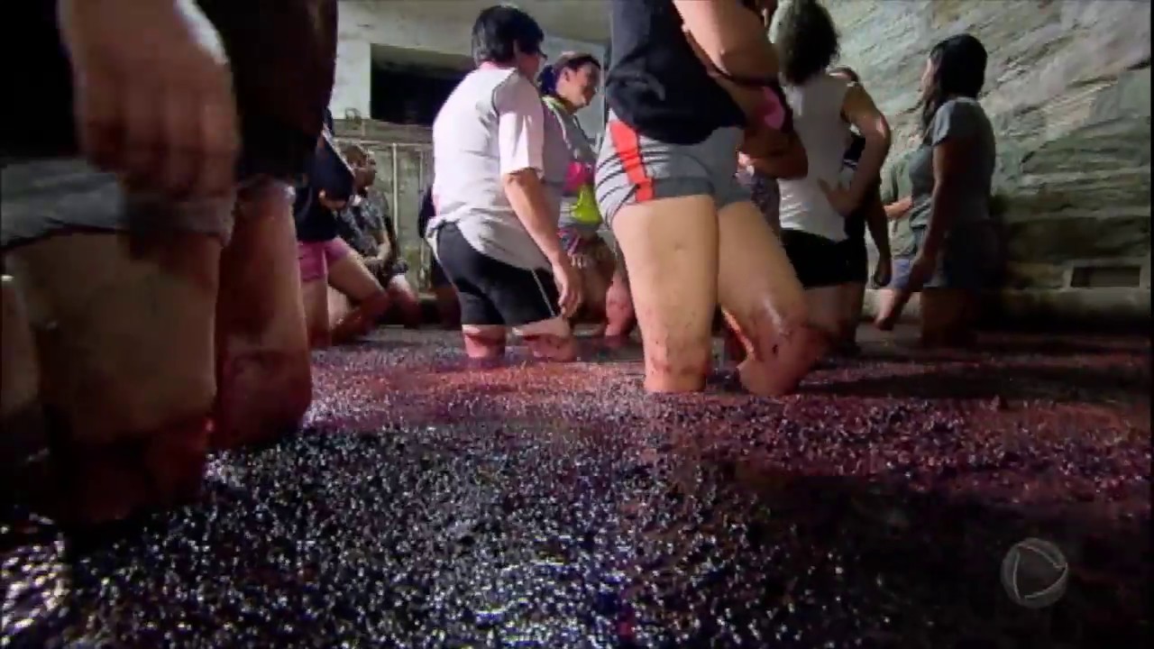 Rep&oacute;rter em A&ccedil;&atilde;o participa da tradi&ccedil;&atilde;o milenar de amassar uvas com os p&eacute;s em Portugal