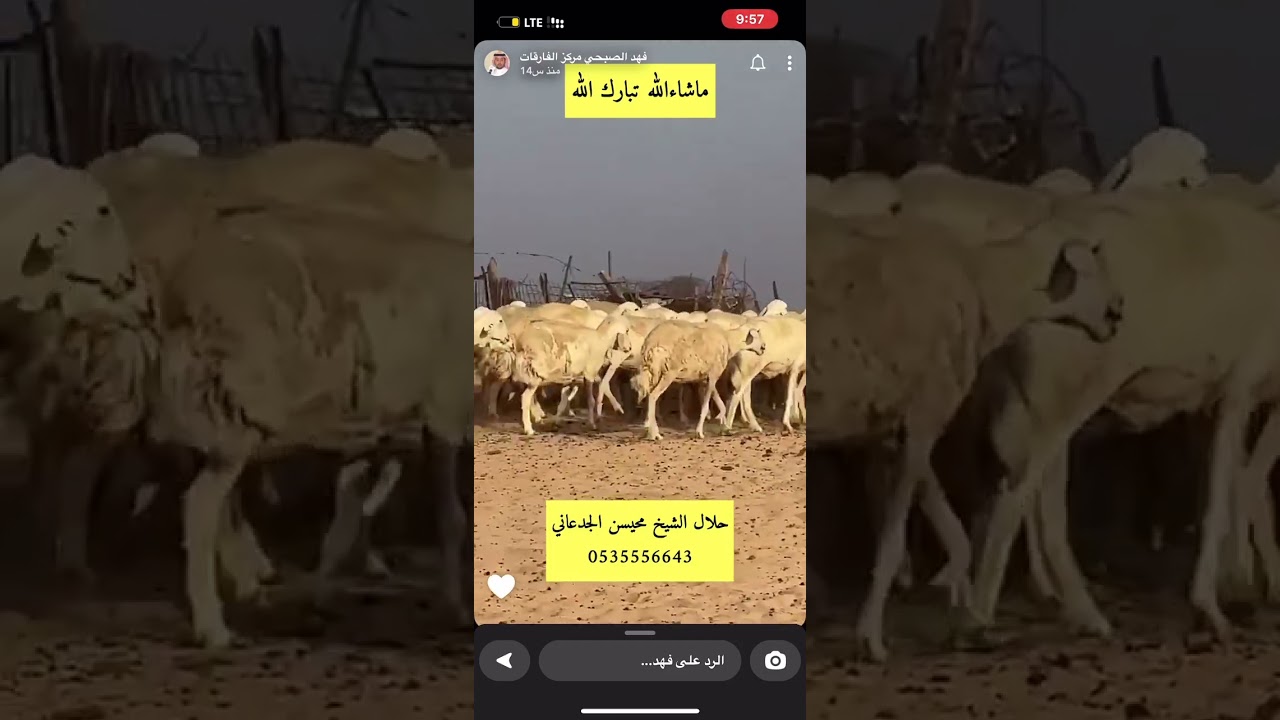 لقاء الشيخ محيسن الجدعاني…                     للتواصل/0541828389