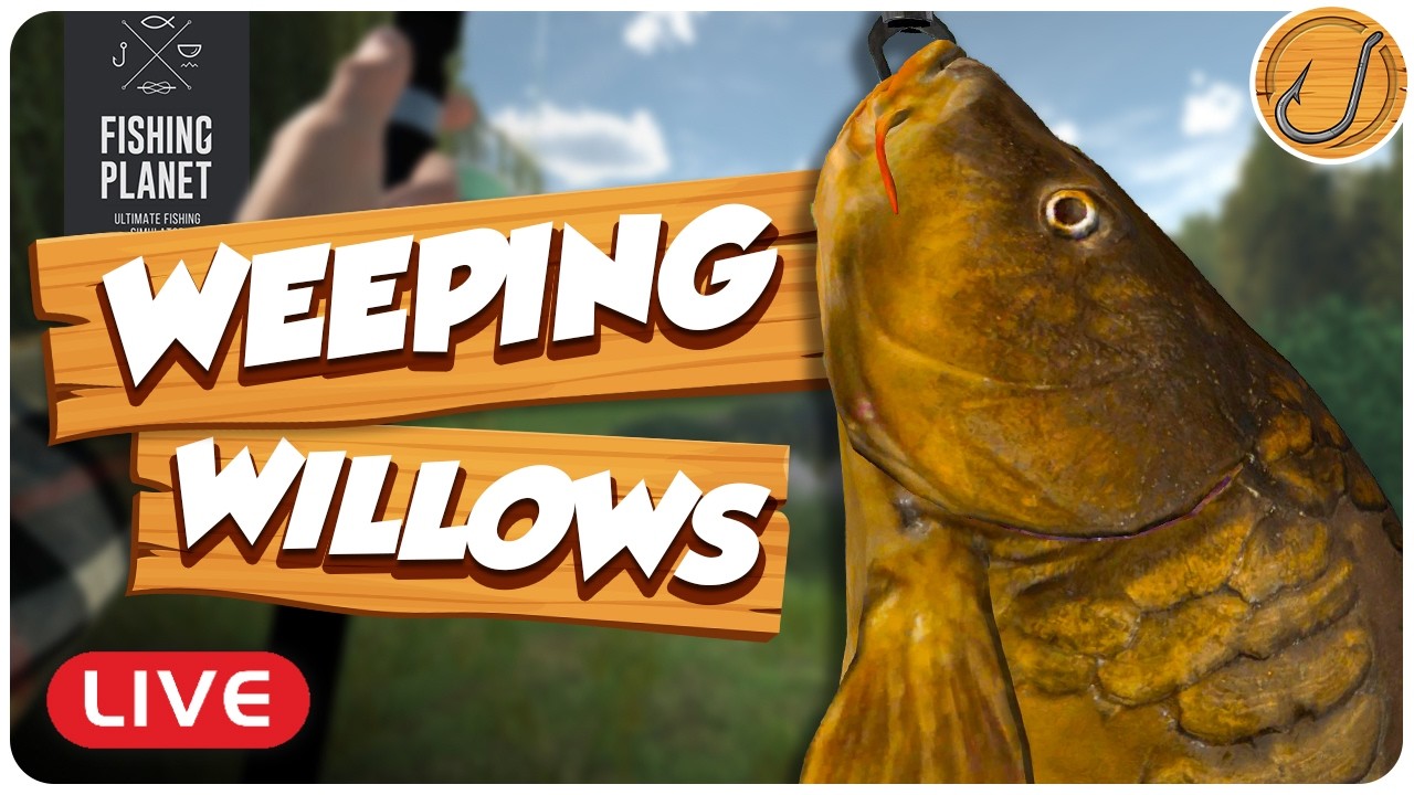 We're headed to Weeping Willows for Carp Fishing! | Fishing Planet [LIVE]