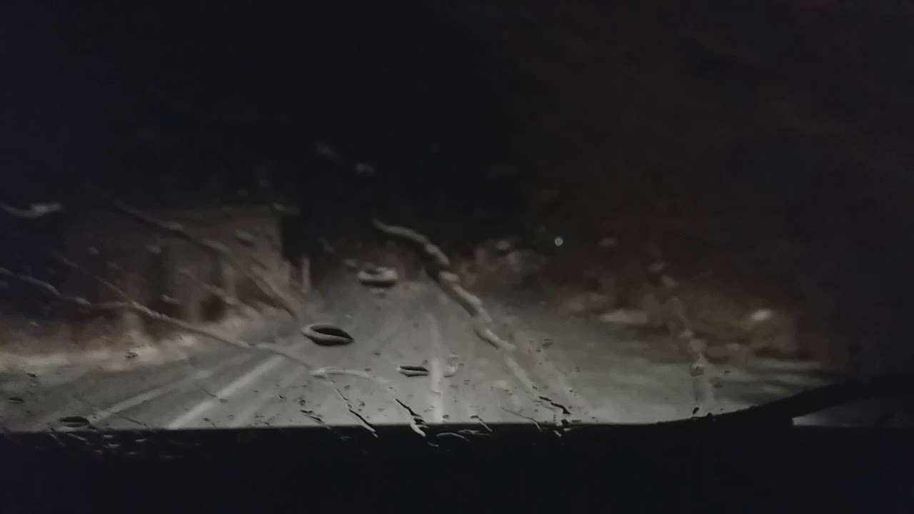 Zimski vlog