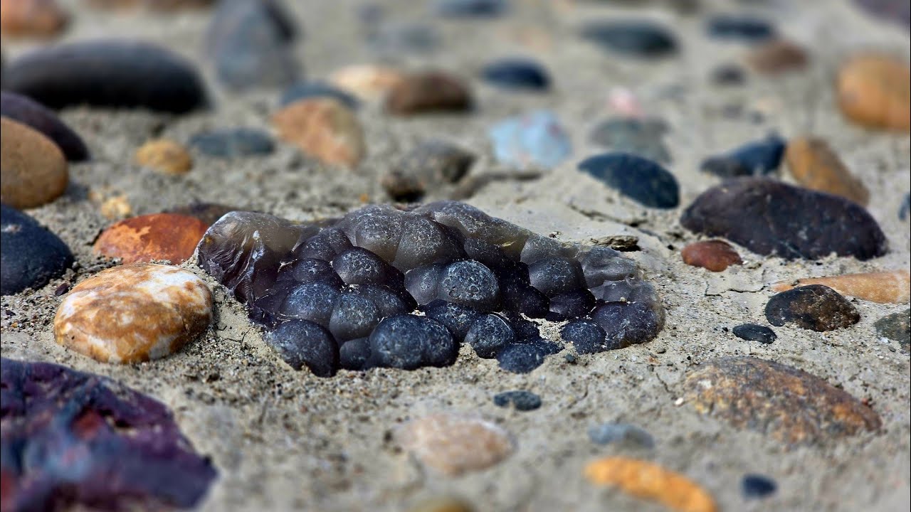 Hidden in Back Channel River Gravels: Let the Summer Adventures Begin!