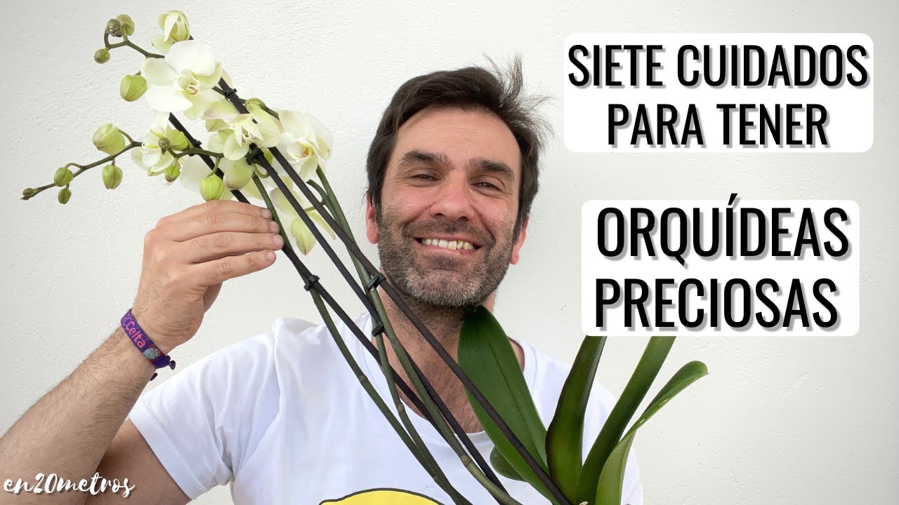 7 CUIDADOS MUY FÁCILES para tener ORQUÍDEAS INCREÍBLES: más floración y duración || en20metros