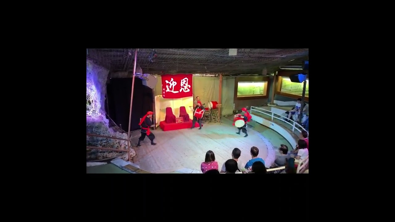 Traditional Dance #okinawa #okinawatrip #shorts #shortvideo