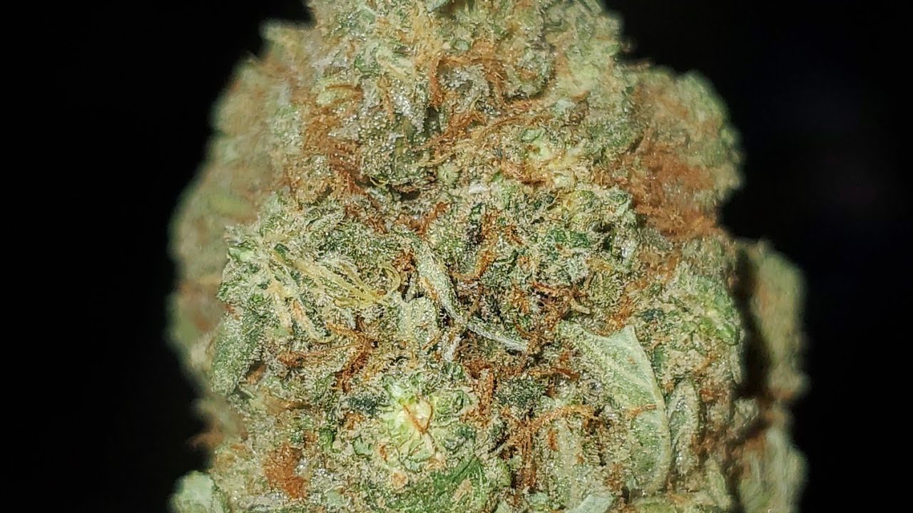 PLATINUM KUSH STRAIN WAKE AND BAKE STYLE