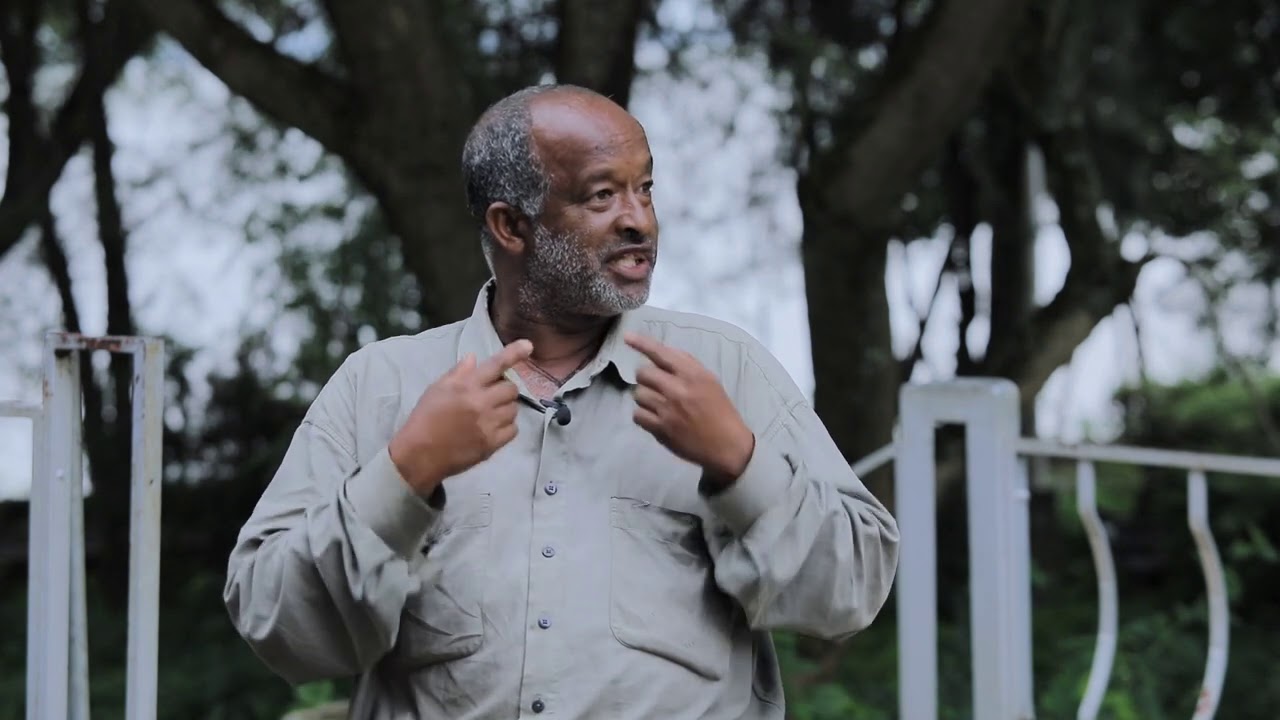 ጎርጎራ ደሴት | Nahoo Guday