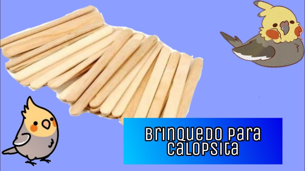 COMO FAZER BRINQUEDO PARA CALOPSITA COM PALITO DE PICOLÉ