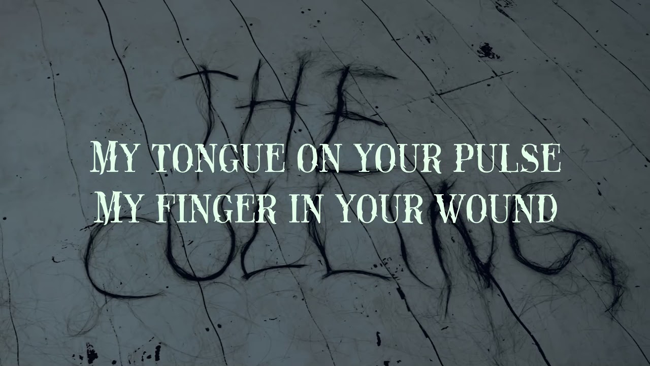 Chelsea Wolfe - The Culling (Retroman's karaoke version)