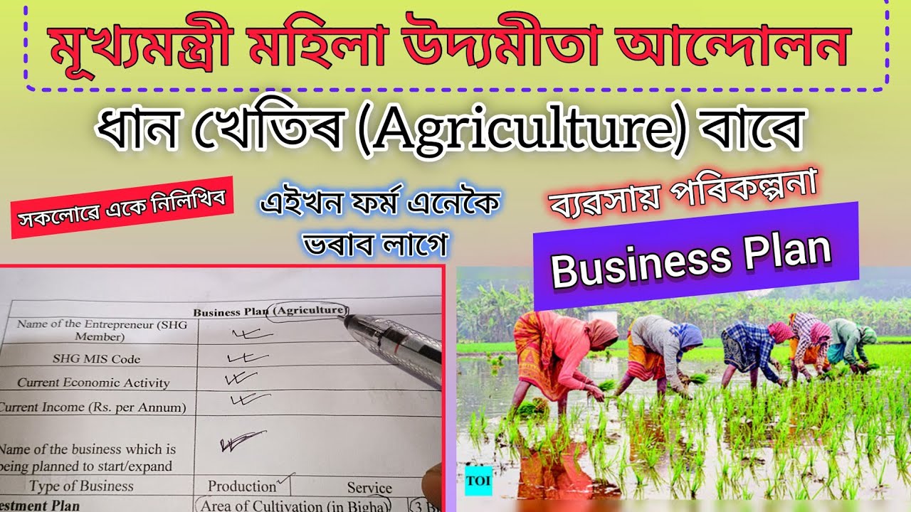 Business Plan Agriculture // ধান খেতিৰ বাবে Business Plan // MMUA Form Fill Up