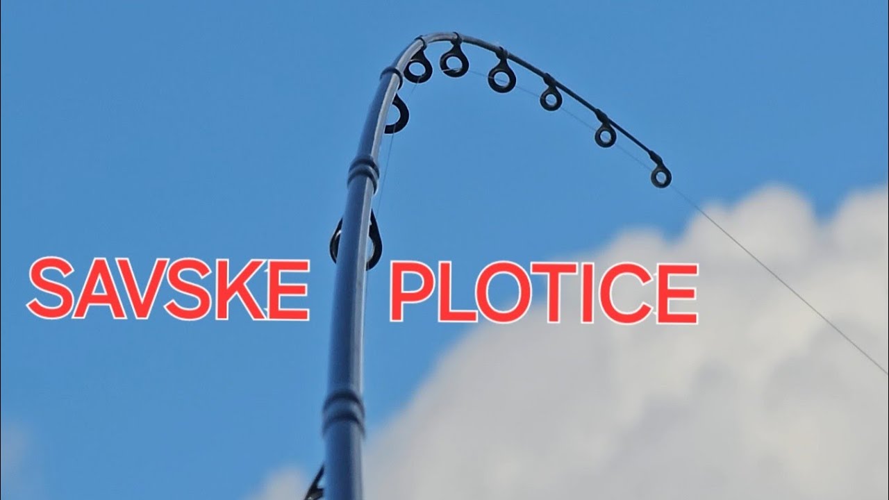 SAVA FEEDER I PLOTICE