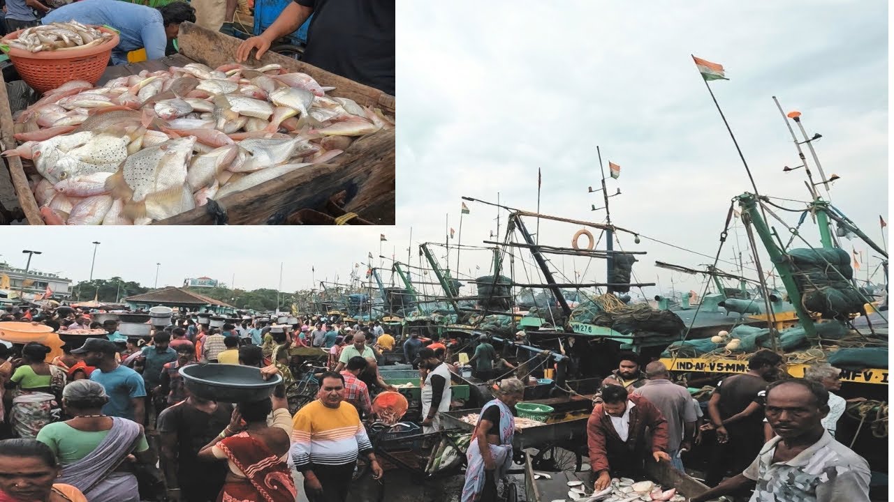 Vizag Fishing Harbour | sea fish market | #Happyrider_moto