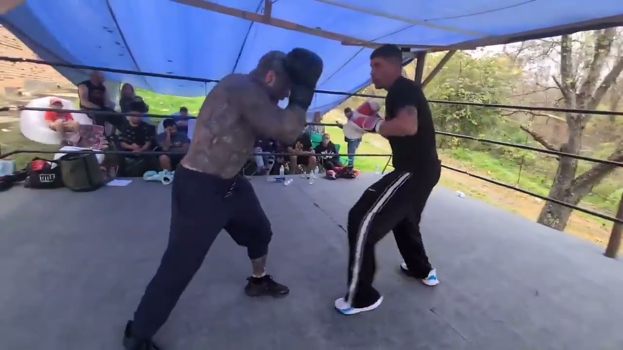 PRO BOXER ROCKS MIGHTY MOUSE
