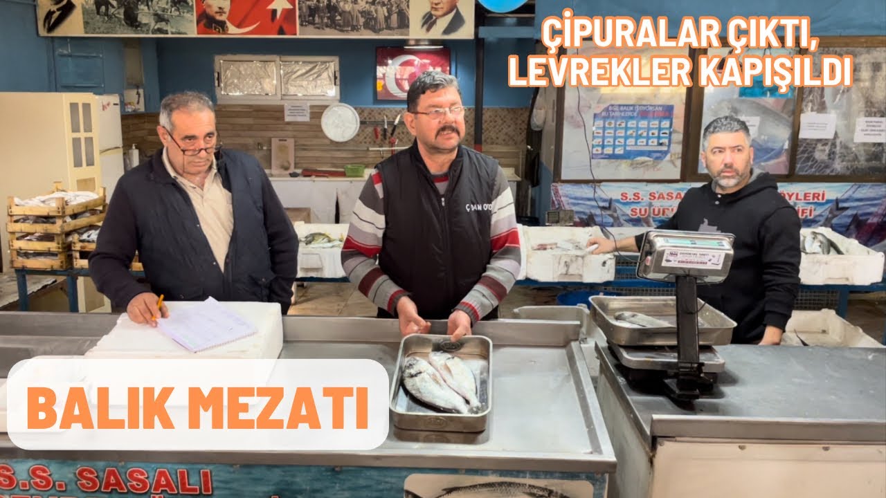 Hafta sonu mezatı çok kalabalıktı 10.02.2024 #balık #mezat #balıkmezatı