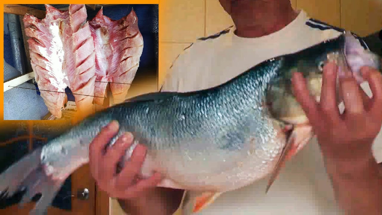 Малосольный БАЛЫК - Вкусно и Просто! Как разделать, как солить и вялить рыбу!