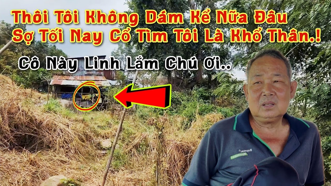 Rùng Mình Câu Chuyện Tâm Linh Có Thật - Hồn Cô Gái Trẻ Tìm Người Hại Đời Ở Vùng 7 Núi.!