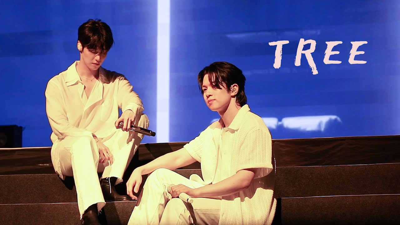 230730 N.Flying LIVE 'FOREST OF 2RAVELERS' IN TAIPEI 엔플라잉 - TREE (승협&회승) [4K 직캠/FANCAM]