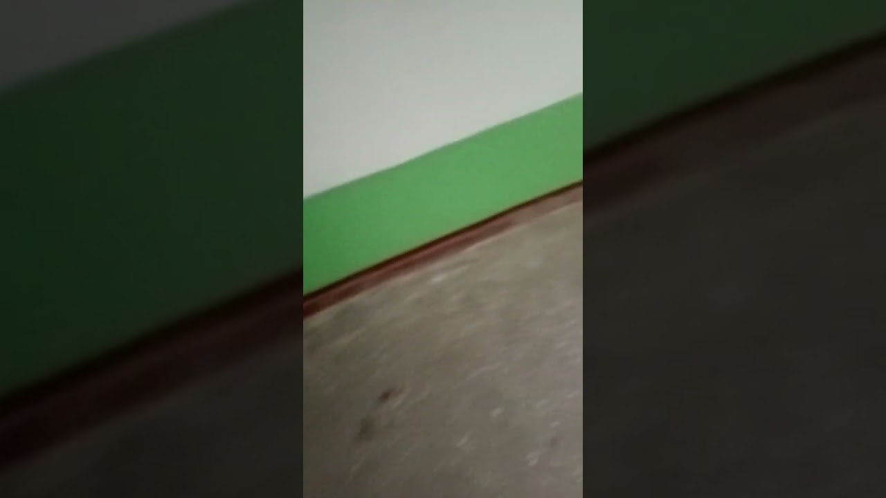 15.02.26_16.11