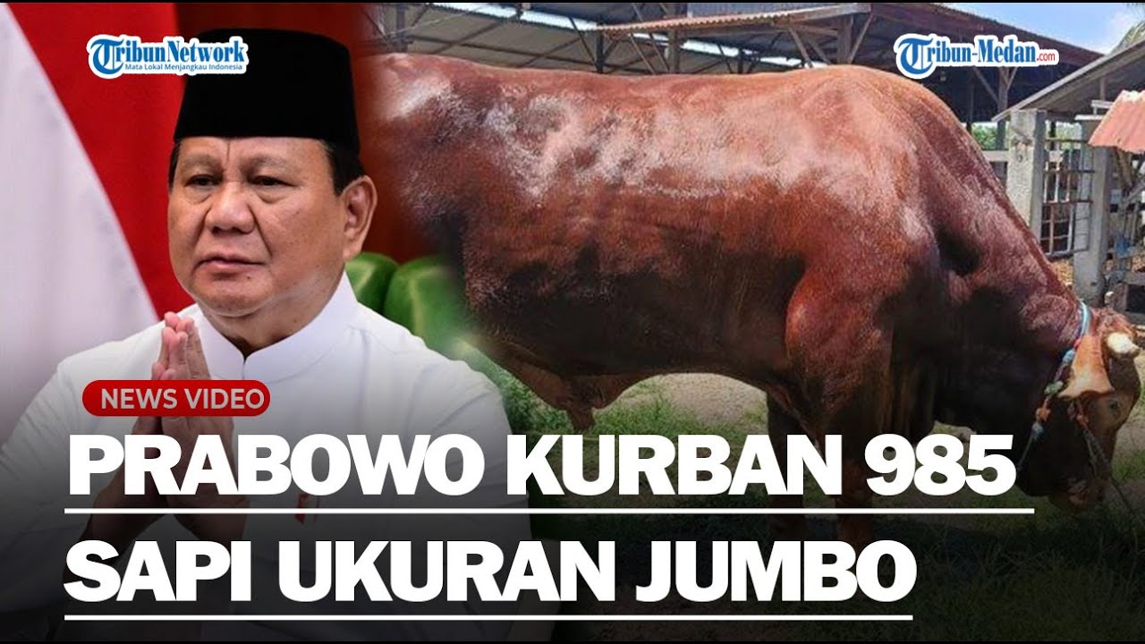TERSEBAR DI BERBAGAI DAERAH Prabowo Kurban 985 Sapi di Idul Adha