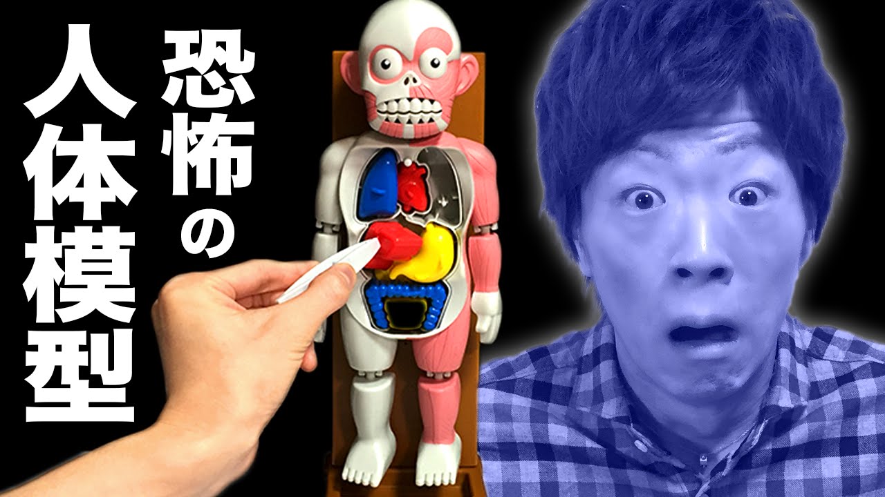 【恐怖】暴れだす人体模型 VS セイキン